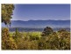 103 The Terrace, Windsor NSW 2756
