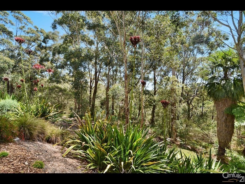 15/570 Miller Street, Cammeray NSW 2062