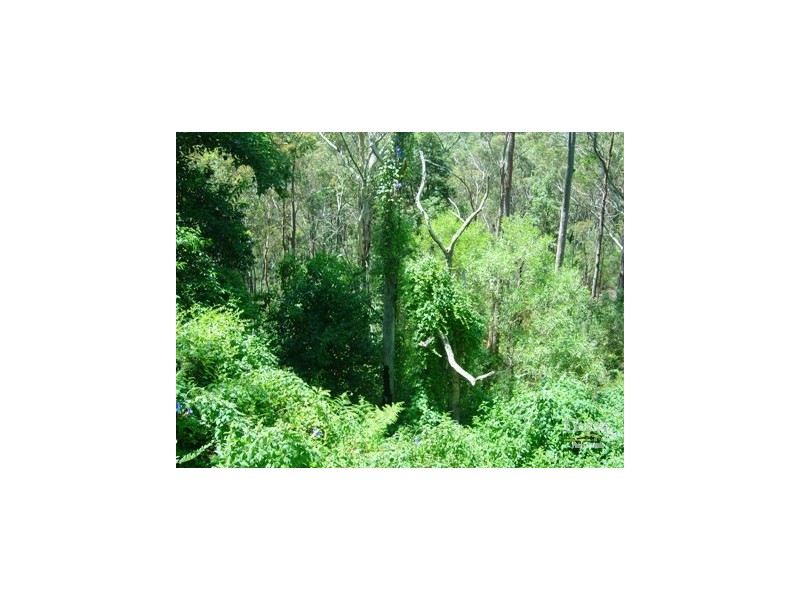 North Epping NSW 2121