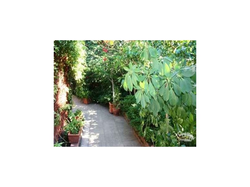 226 Ray Road, Epping NSW 2121