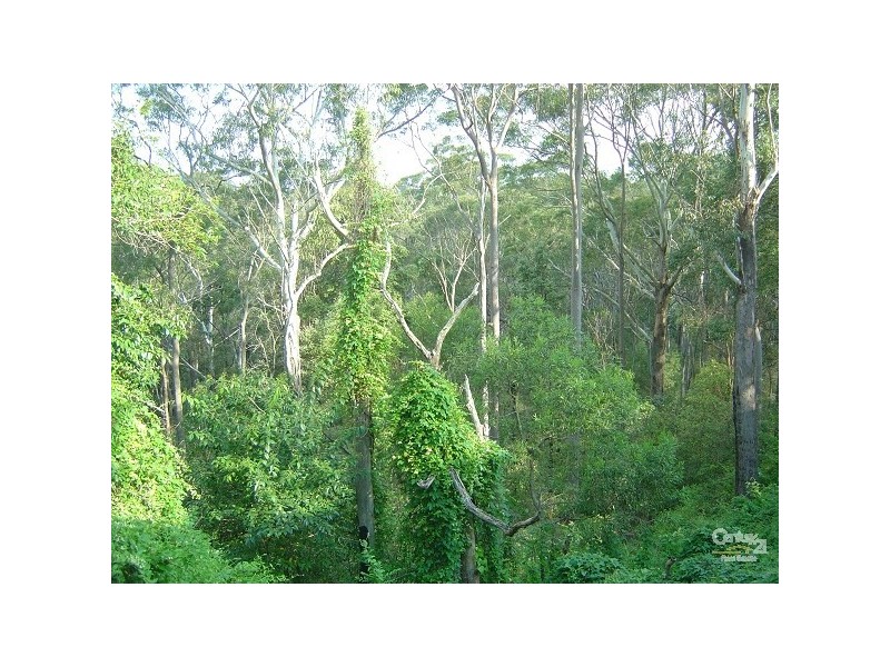 North Epping NSW 2121