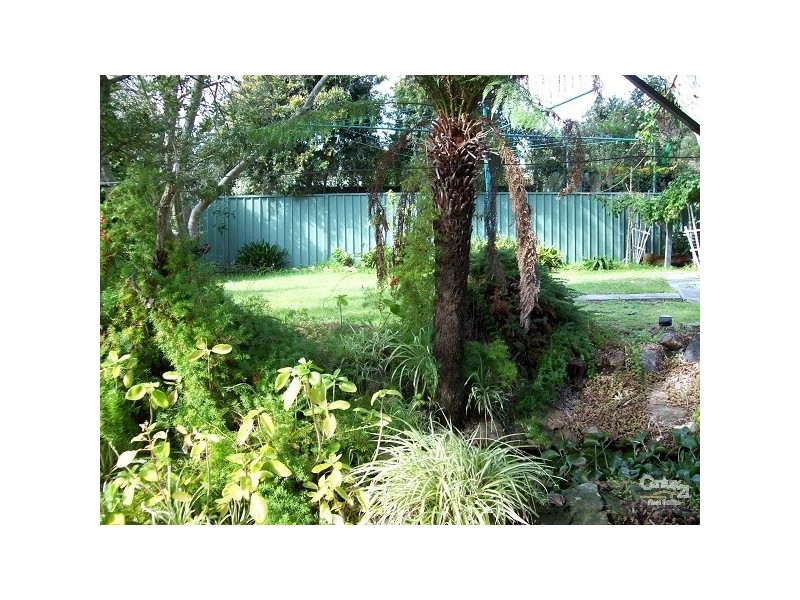 2 LORD ST, Shelly Beach NSW 2261