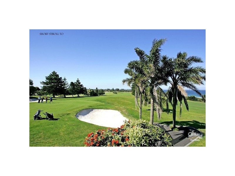 84 Oaks Avenue, Shelly Beach NSW 2261