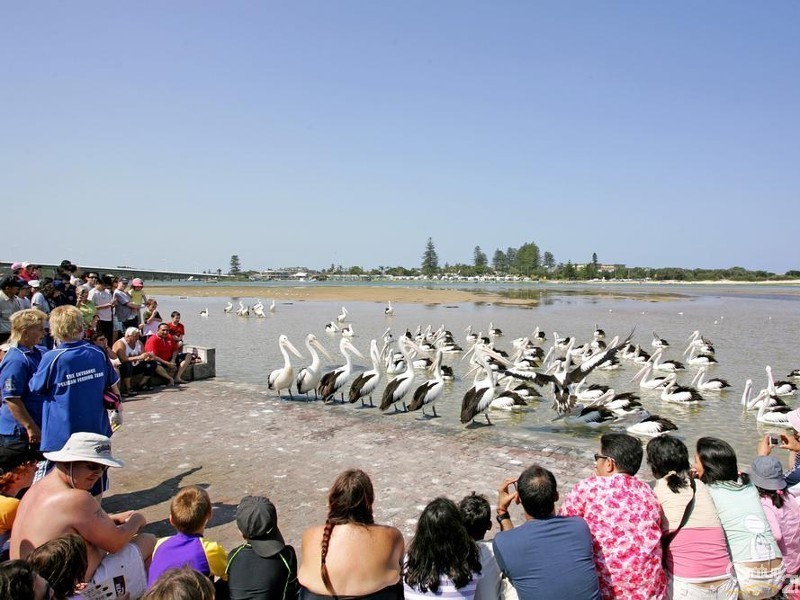 14/2-6 Copnor Avenue, The Entrance NSW 2261