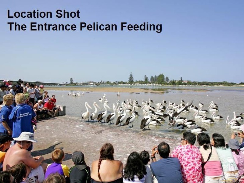 56 Lakeside Parade, The Entrance NSW 2261