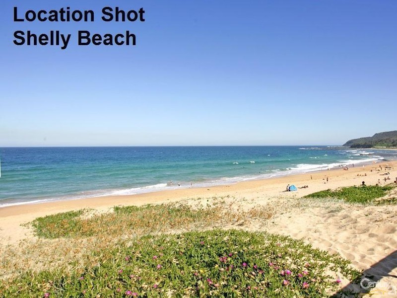 41 Grandview Street, Shelly Beach NSW 2261