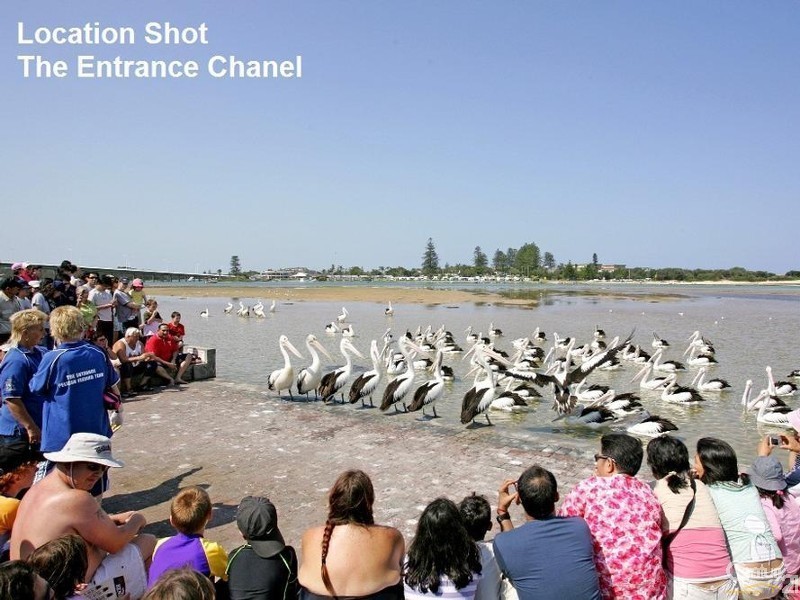 14/11-13 Ocean Parade, The Entrance NSW 2261