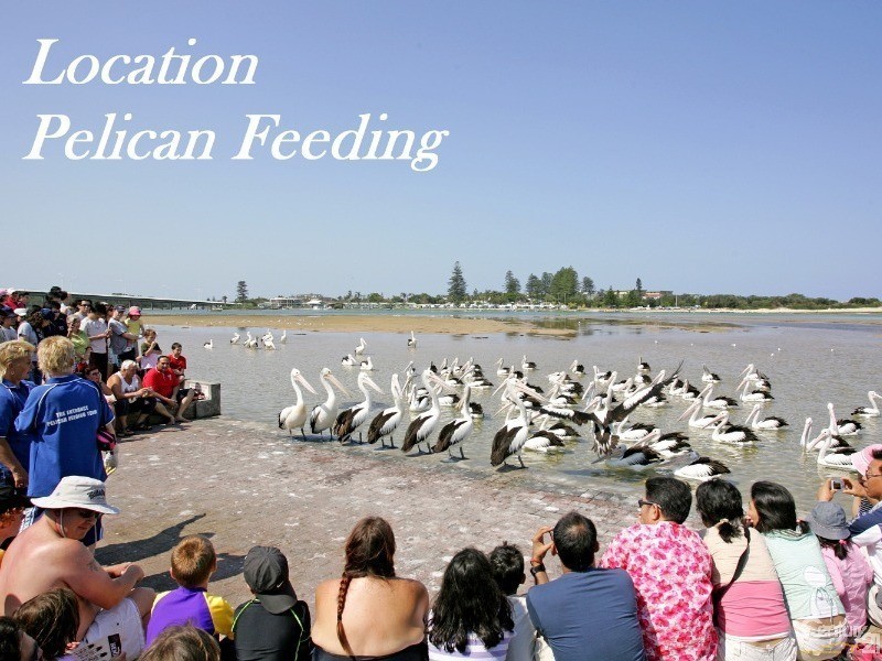 4/34-36 Oakland Avenue, The Entrance NSW 2261