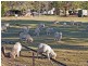 125 Berecry Road, Mangrove Mountain NSW 2250