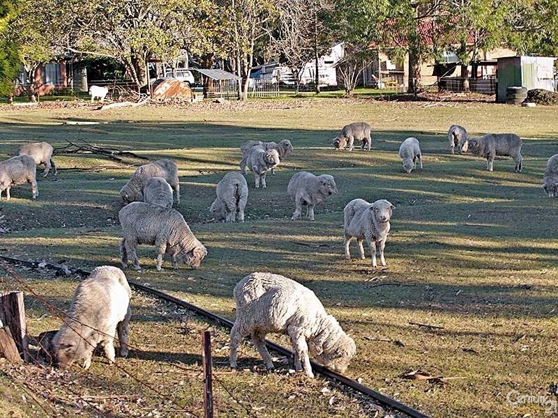 125 Berecry Road, Mangrove Mountain NSW 2250