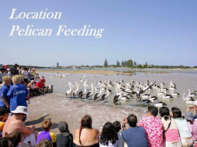 15/2-6 Beach Street, The Entrance NSW 2261