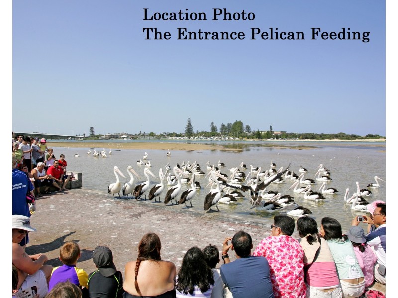 36/2-8 Ozone Street, The Entrance NSW 2261