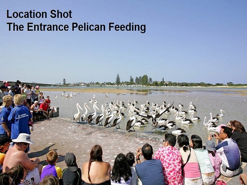 528/18 Coral Street, The Entrance NSW 2261