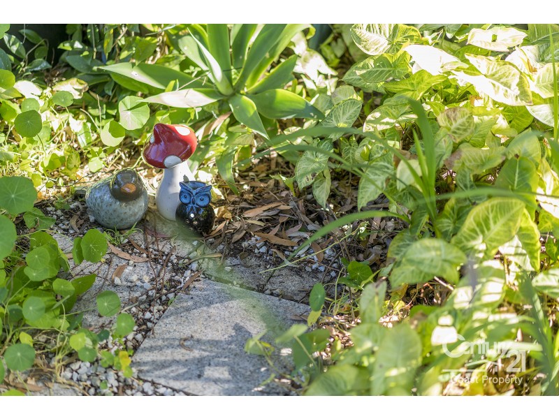 19 Elaine Avenue, Berkeley Vale NSW 2261