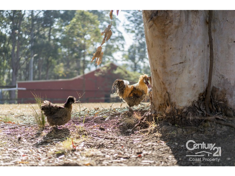 85 Anderson Road, Glenning Valley NSW 2261