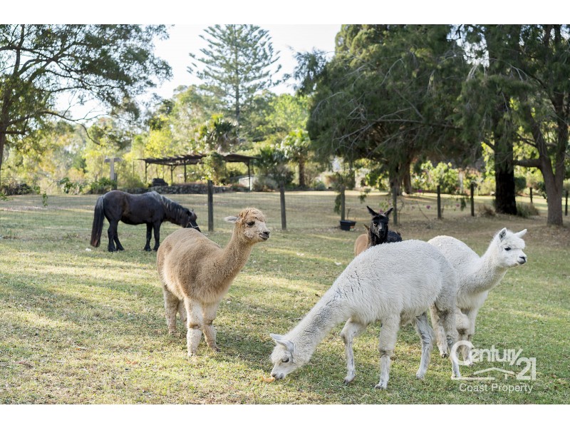 85 Anderson Road, Glenning Valley NSW 2261