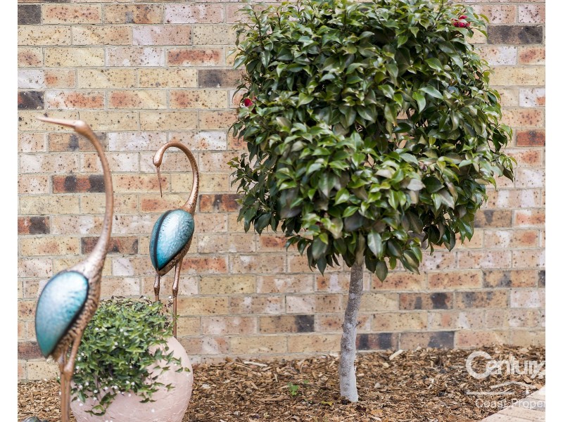 176/15 Lorraine Avenue, Berkeley Vale NSW 2261