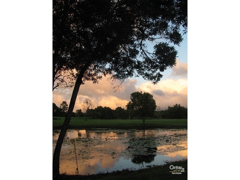 528 Dalwood Road, Dalwood NSW 2477