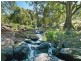 696 Tregeagle Road, Tregeagle NSW 2480