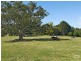 696 Tregeagle Road, Tregeagle NSW 2480