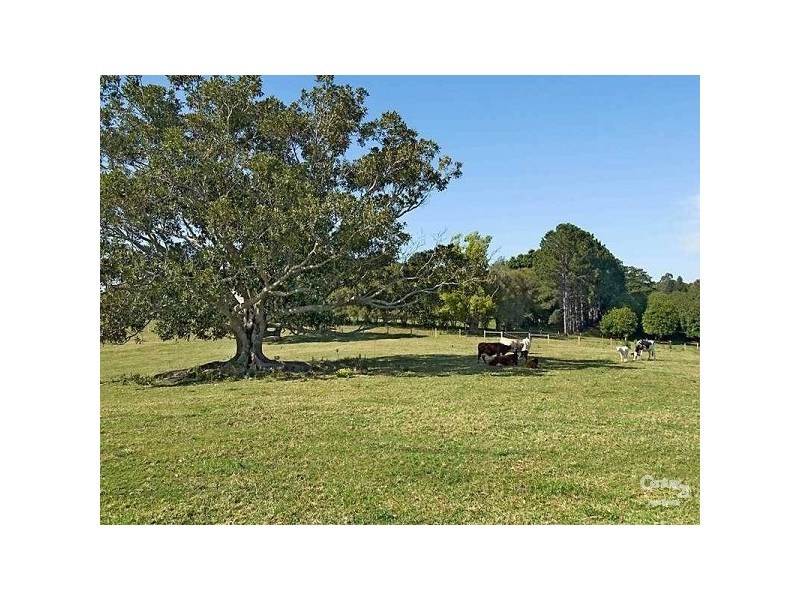 696 Tregeagle Road, Tregeagle NSW 2480