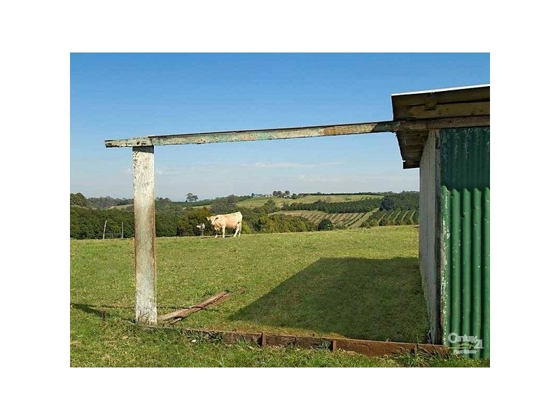 696 Tregeagle Road, Tregeagle NSW 2480