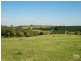696 Tregeagle Road, Tregeagle NSW 2480