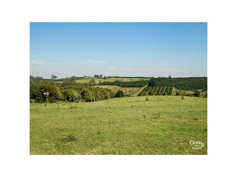 696 Tregeagle Road, Tregeagle NSW 2480