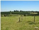 696 Tregeagle Road, Tregeagle NSW 2480