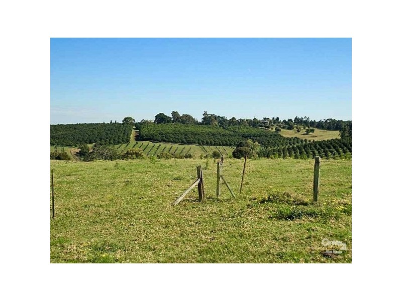 696 Tregeagle Road, Tregeagle NSW 2480