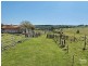 696 Tregeagle Road, Tregeagle NSW 2480