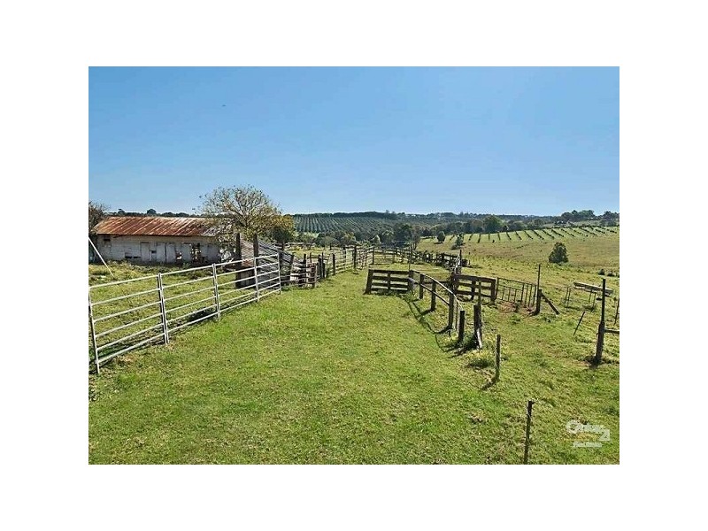 696 Tregeagle Road, Tregeagle NSW 2480