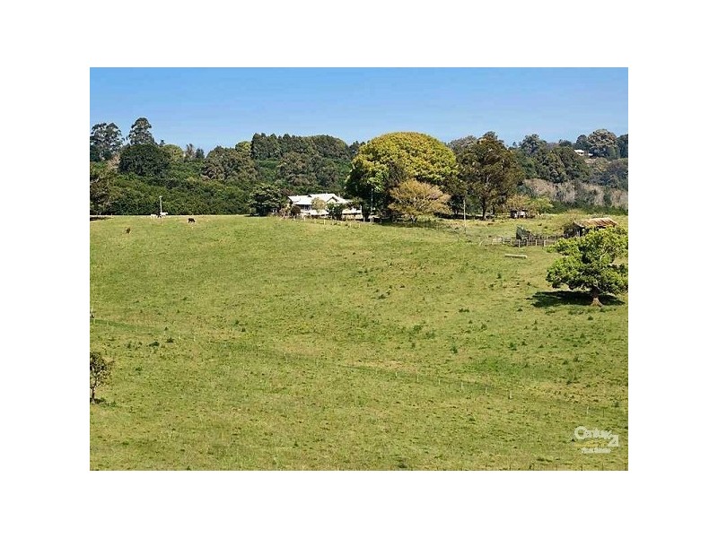 696 Tregeagle Road, Tregeagle NSW 2480
