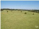 696 Tregeagle Road, Tregeagle NSW 2480