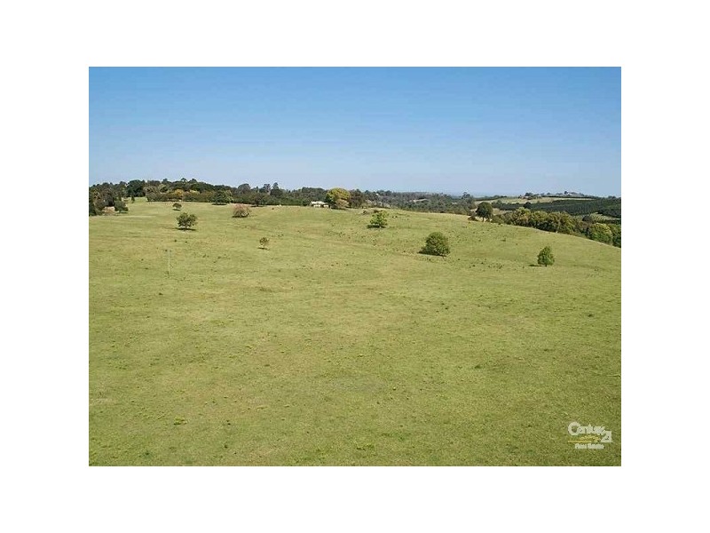 696 Tregeagle Road, Tregeagle NSW 2480