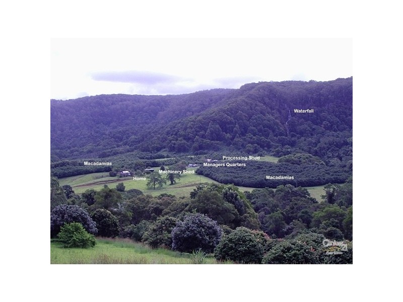 Rosebank NSW 2480