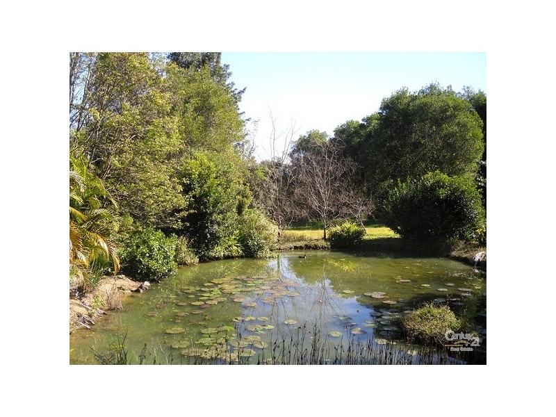 Lot 25 / 78 Cecil Street, Nimbin NSW 2480