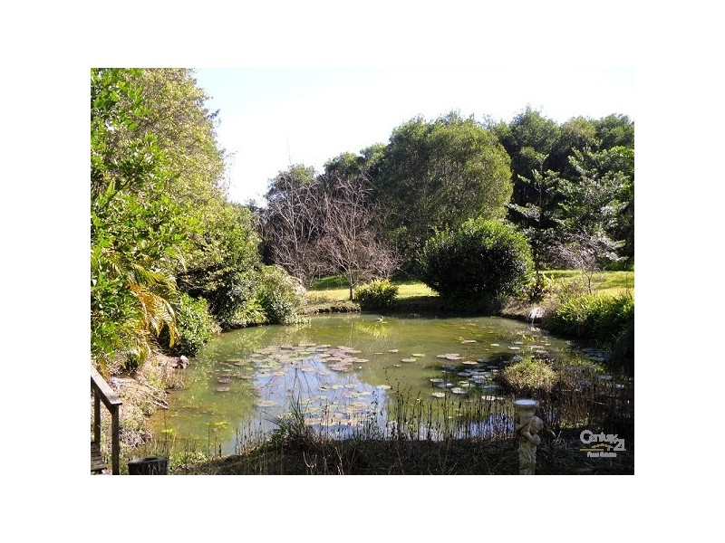 Lot 25 / 78 Cecil Street, Nimbin NSW 2480