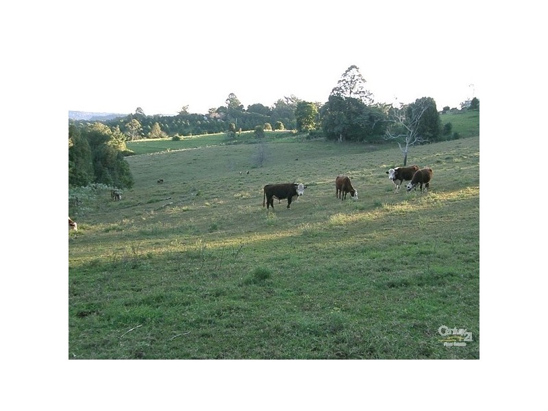 Dunoon NSW 2480