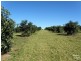 Dunoon NSW 2480