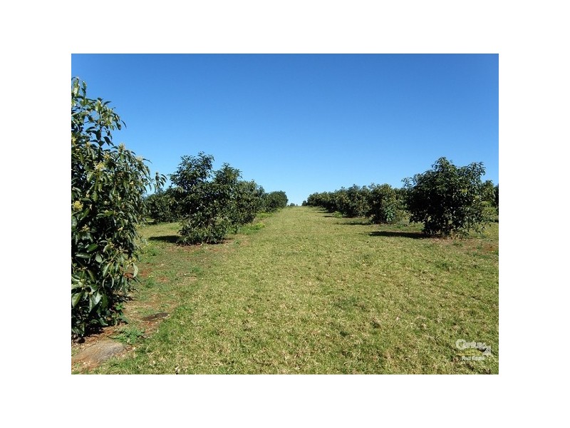 Dunoon NSW 2480