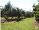 Dunoon NSW 2480