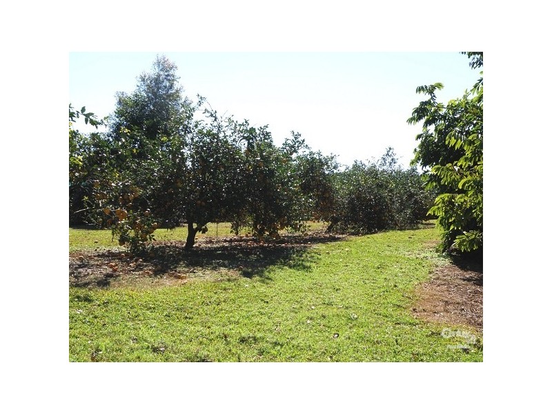 Dunoon NSW 2480