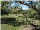 Dunoon NSW 2480