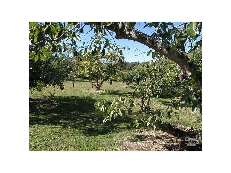 Dunoon NSW 2480