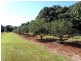 Dunoon NSW 2480
