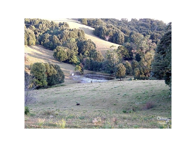 Dunoon NSW 2480