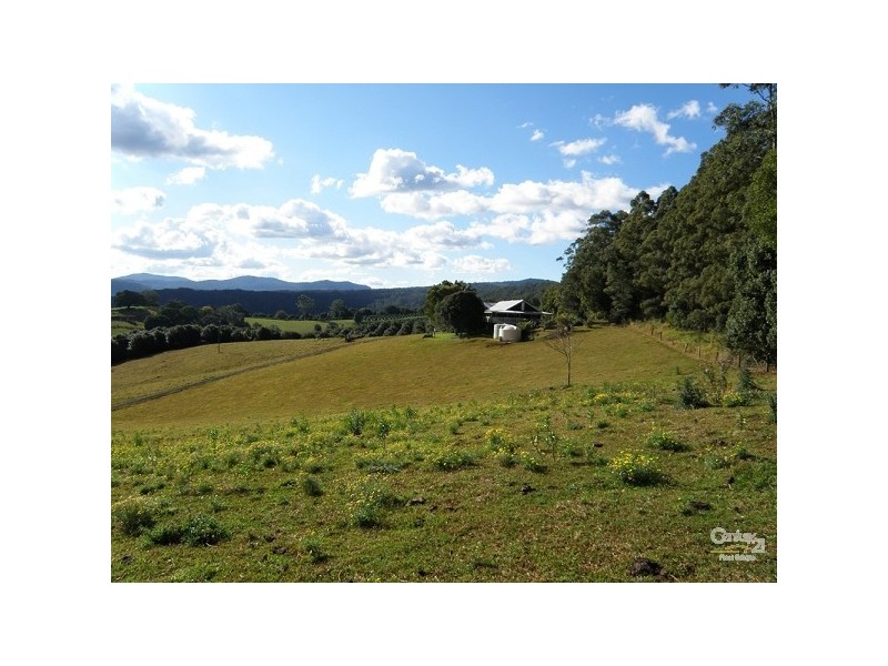 35 Starkey Road, Whian Whian NSW 2480