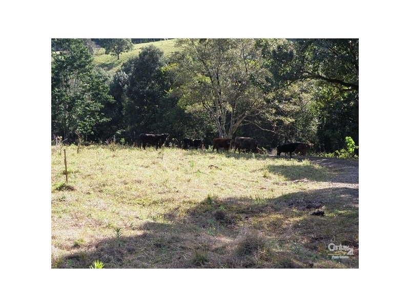 35 Starkey Road, Whian Whian NSW 2480