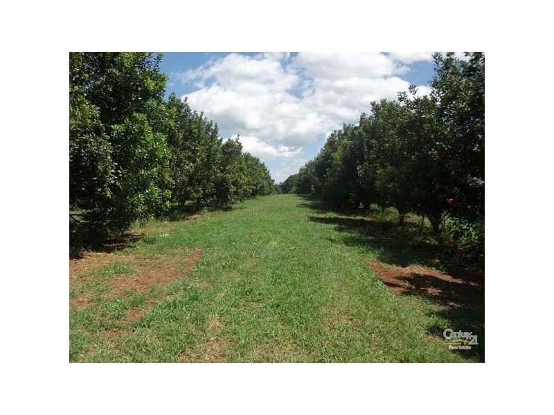 Dunoon NSW 2480